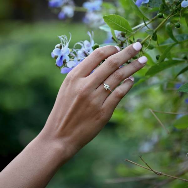 Bienvenue dans le monde enchanteur du solitaire 