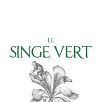 Brasserie restaurant Aix-En-Provence 13100 Le Singe Vert